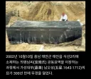 300년전 조상묘 파묘했다가 후손들이 모두 놀란 이유