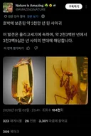 너네 3천만년 전 사마귀 본 적 있냐