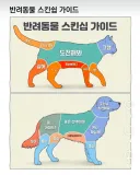 고양이&강아지가 좋아하는 스킨쉽 가이드