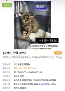 수의사: 니가 왜 여기에서 나와?