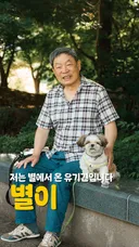 어느 댕댕이의 이름
