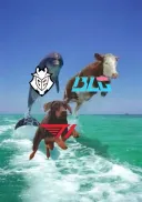 롤)개인적으로 이해한 세얼간이들의 관계