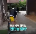 와 미국 펜타닐 중독의 좀비 떠도는거 봤는데
