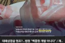 더본 코리아 대패삼겹살 패소 공식 입장 ㅋㅋㅋㅋ