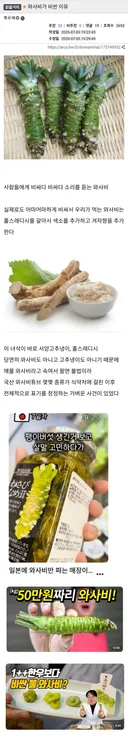 와사비가 비싼 이유