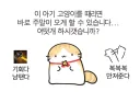 이 아기 고양이를 때리면 바로 주말이 오게 할 수 있습니다.