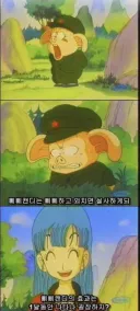 [드래곤볼] "초반 이후로 안나와서 다행인 아이템."