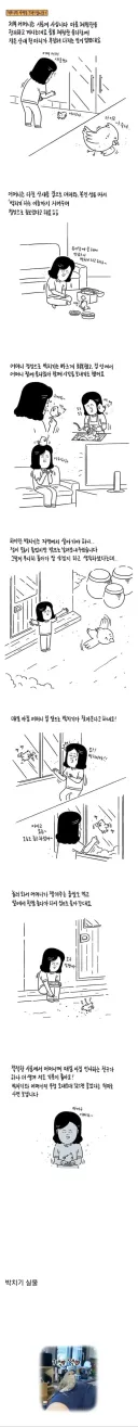 부상당한 작은 산새를 구해준 어머니.jpg