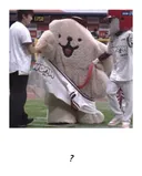오늘자 야구 나체 시구 논란