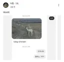 동물 유튜버에게 온 메세지