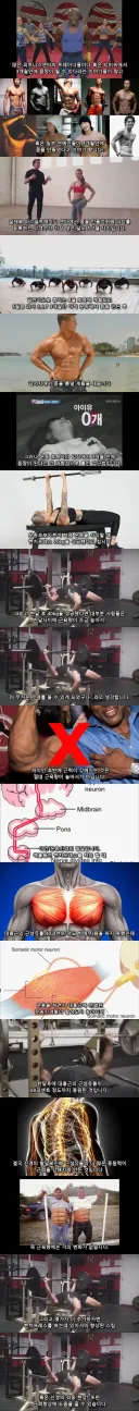 운동 3개월만에 몸짱이 될 수 없는 이유