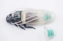 3D 프린팅 원격 조종 사이보그 바퀴벌레 잠수복
