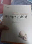 그림쟁이 뉴비의 흔한 잘못된 선택