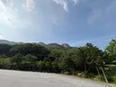 둘리 엄마 만났습니다