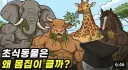 AI발전 이후 유튜브 썸네일 특징
