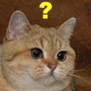 ??? 아니 GS 택배 일요일날 보낸게 토요일날 보낸거 보다 빨리 도착했네