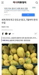 벼룩파리 씹새끼 한국에 생긴 이유