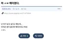 애인이 아기 낳기 싫다고 해서 헤어진 개붕이