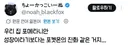 우리집 포메라니안 성장이라기보다 포켓몬 진화같은거지..