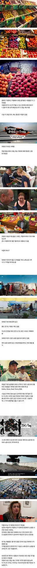 이민자가 모두 사라진 유럽 미래.jpg