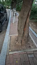 대한민국 인도 수준