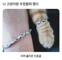 나 고양이랑 우정 팔찌 했다