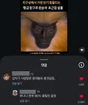 지구상에서 보기 힘든 황금 원숭이 근접샷