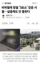 바퀴벌레 창궐 ‘3요소’ 갖춘 서울…살충제도 안 통한다
