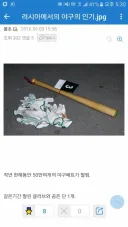 뭔가 이상한 불곰국의 야구 인기