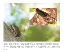 여름에 나무에서 떨어지는 물방울의 비밀