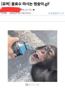 상도덕이 사라져버린 유게 베스트.jpg