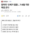 8월에 40도 라는데