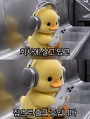 월요일..또 시작 되었네요