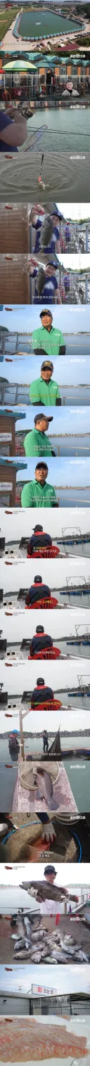 2억 원치 고기 넣은 낚시터.jpg