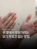 모기 무조건 잡는 방법