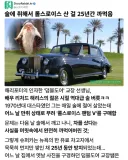술 취해서 롤스로이스 사놓고 25년 간 까먹은 덤블도어