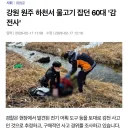 불법어로 행위중 치지직 감전사