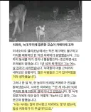 주인 없던 치와와가 갑자기 사라져 늑대에게 잡아먹혔나 생각했는데.jpg