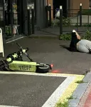킥보드에 이스터에그 있는거 알음??