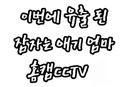 유출된 애기 엄마 홈캠 cctv
