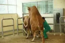 그리고 베1충이보다 더 좋은거
