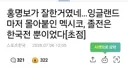 월드컵 유머