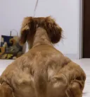 "...아아, 왔어 주인?"