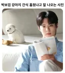 박보검 채신 논란.jpg