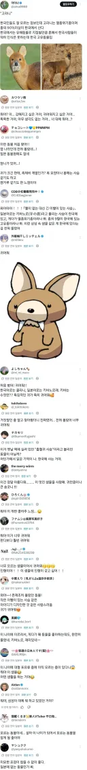 고전) 고라니 처음 본 일본인들 반응