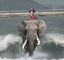 롤) 근데 솔직히 도란 너무 화나지 않냐?