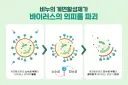 비누가 세균을 제거하는 원리