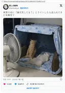 친정 엄마에게