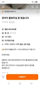 당근 강아지 돌봐주는  알바