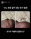 모기 근황.mogi